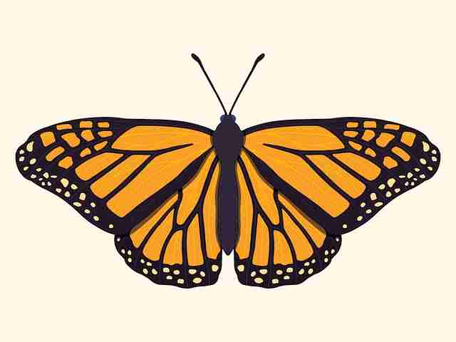 妻社专题故事合集｜代入感极强内容真实而细腻