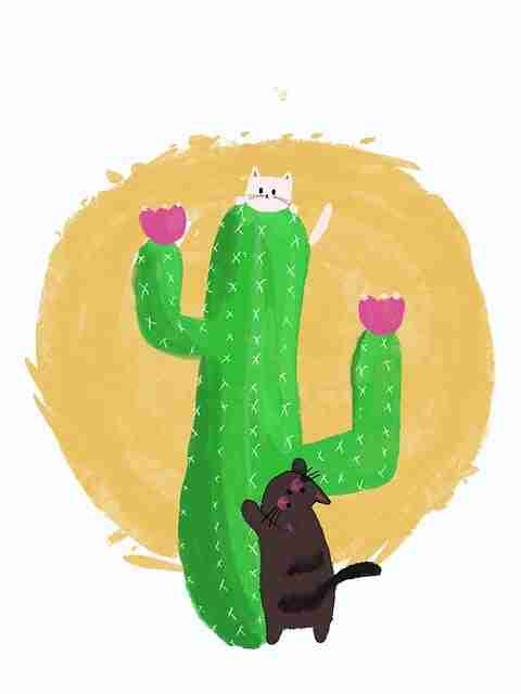 妻社网页版站内热议专题｜恋爱关系拆解刷屏多平台