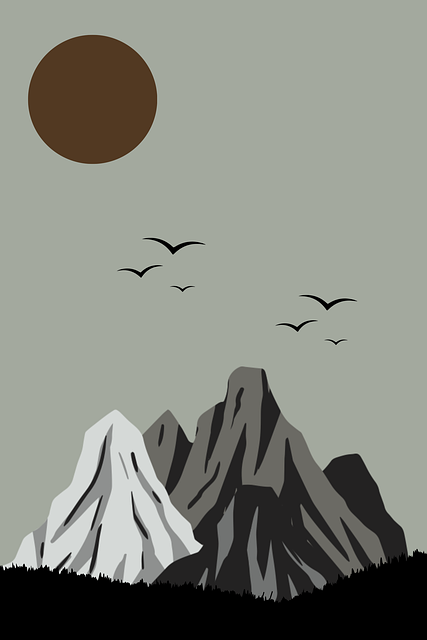 蘑菇视频应用功能升级｜用户偏好洞察版本更新内容揭秘