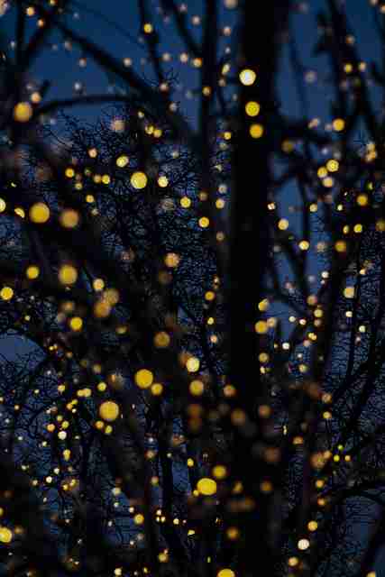 蘑菇视频下载年度盘点来袭｜站内热度排行视频分类回顾特辑