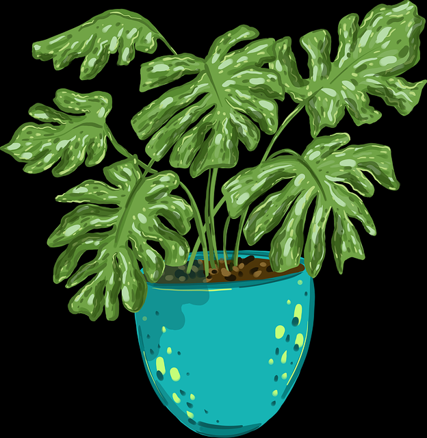 蘑菇影视在线观看影迷最爱栏目更新｜夜间观看体验成播放新宠